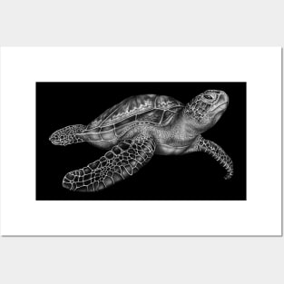 Sea Turtle Posters and Art